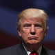 Image for article titled Donald Trump Is the Most Effective President Ever